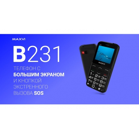 Мобильный телефон Maxvi B231 Grey  (2 SIM) - фото 11