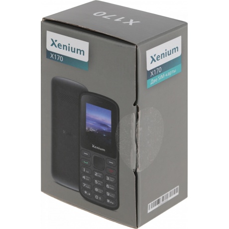 Мобильный телефон Xenium X170 Black - фото 16