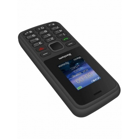 Мобильный телефон Xenium X175 Black - фото 2