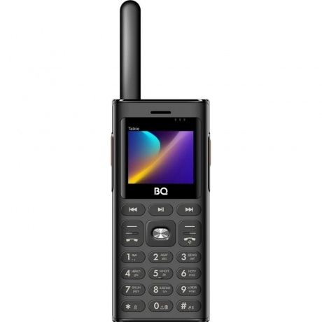 Мобильный телефон BQ 2010 Talkie Black - фото 1
