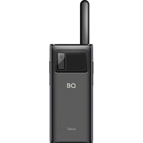 Мобильный телефон BQ 2010 Talkie Black - фото 4