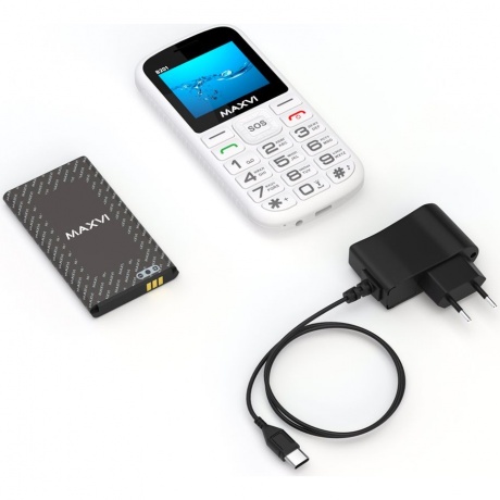Мобильный телефон Maxvi B201 White - фото 10
