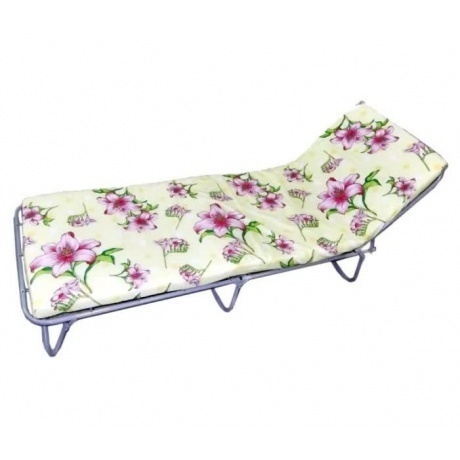 

Кровать раскладная "Стандарт-М20"матрас 2 см, макс.нагр.80кг (195*65*26 см)