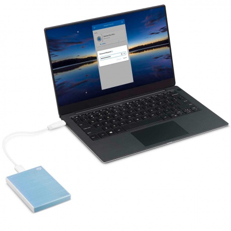 Внешний SSD Seagate 1Tb Blue (STKG1000402) - фото 8