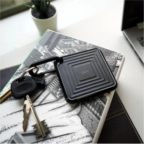 Внешний SSD Silicon Power 2.0TB PC60 (SP020TBPSDPC60CK) - фото 15