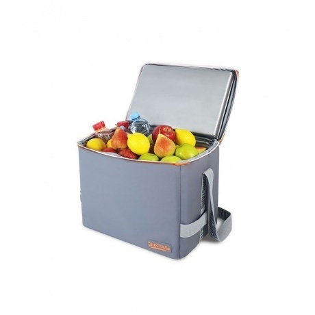 Термосумка Biostal Дискавери (20 л.), серая - фото 1