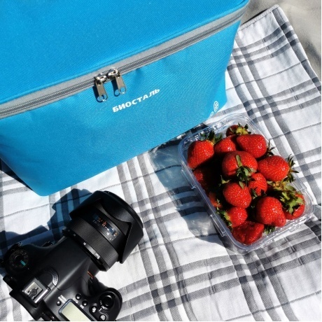 Термосумка (сумка-холодильник) Biostal Кантри (20 л.), синяя - фото 5