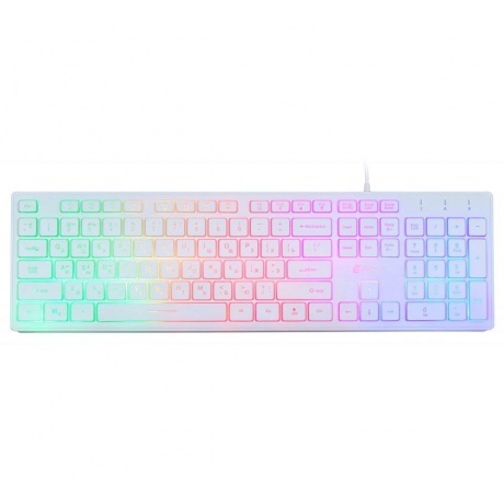 

Клавиатура Oklick 550ML белый, Черный