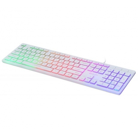 Клавиатура Oklick 550ML белый - фото 4