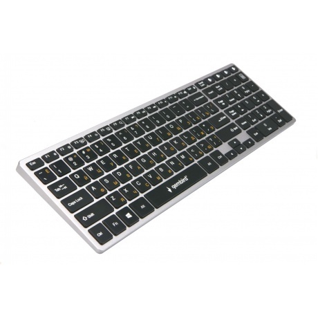 Клавиатура Gembird KBW-2 - фото 2