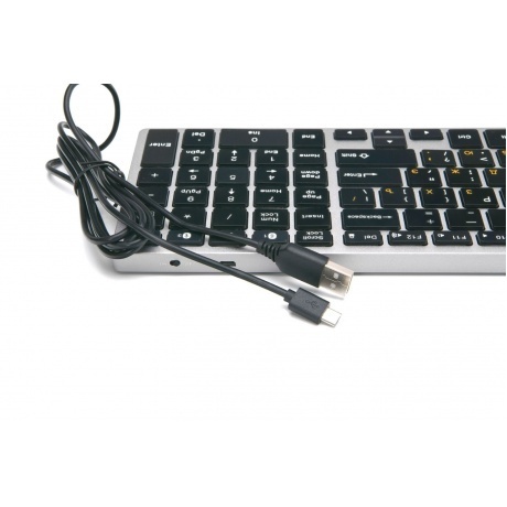 Клавиатура Gembird KBW-2 - фото 4