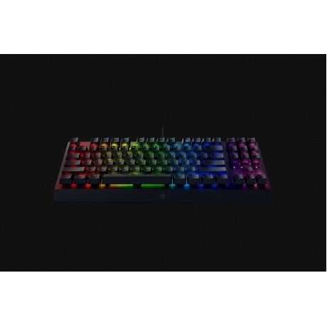 Клавиатура Razer BlackWidow V3 Tenkeyless Mechanical (RZ03-03490700-R3R1) - фото 2