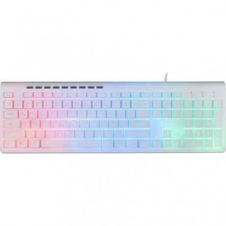 Клавиатура Oklick 490ML белый USB - фото 2