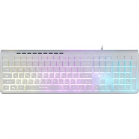 Клавиатура Oklick 490ML белый USB - фото 3