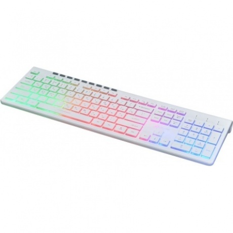Клавиатура Oklick 490ML белый USB - фото 4