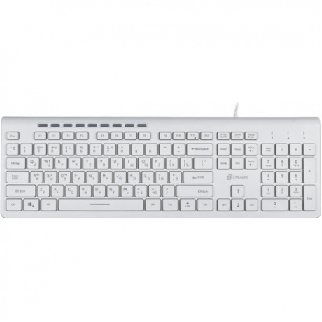 Клавиатура Oklick 490ML белый USB - фото 6