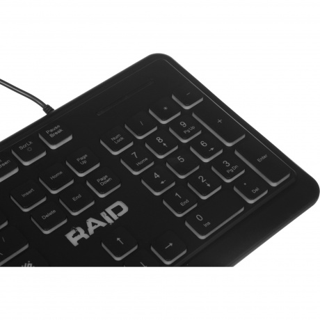 Клавиатура Defender Raid GK-778DL - фото 16