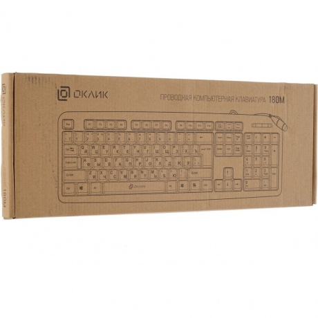 Клавиатура Oklick 180M черный PS/2 - фото 6