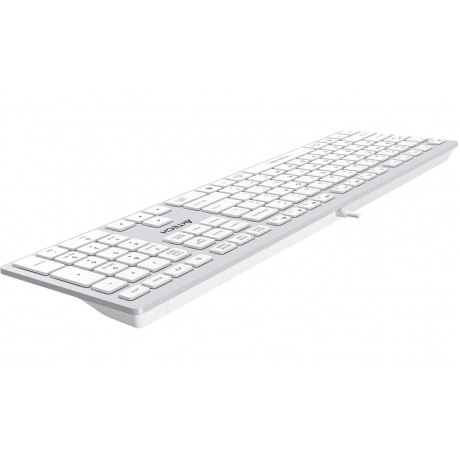 Клавиатура A4Tech Fstyler FX50 белый - фото 4