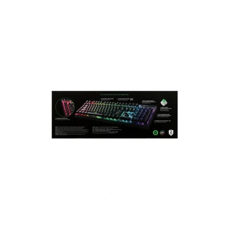 Клавиатура Razer BlackWidow V4 X (Green Switch) (RZ03-04700800-R3R1) - фото 15