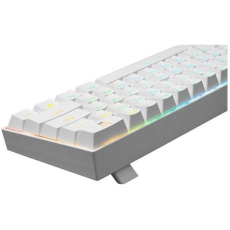 Клавиатура Defender DRACONIC WHITE (77810) - фото 6