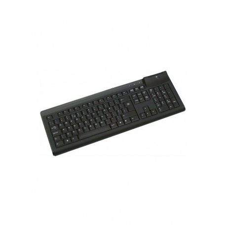 

Клавиатура Acer CHICONY KUS-0967 Black (GP.KBD11.01V), Черный