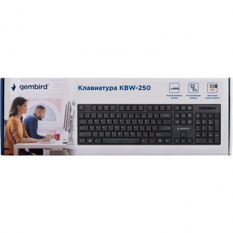 Клавиатура Gembird KBW-250 - фото 4