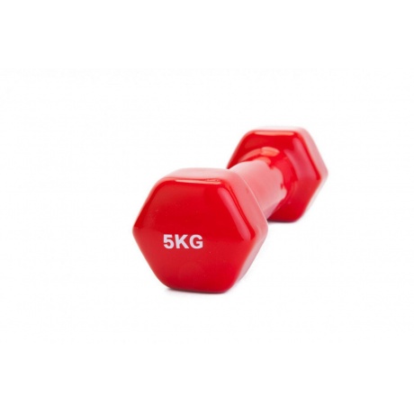 Гантель обрезиненная 5 кг, красная (SF 0167) - фото 1
