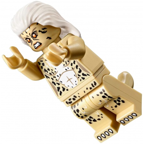 Конструктор LEGO Super Heroes &quot;Чудо-женщина против Гепарды&quot; - фото 4
