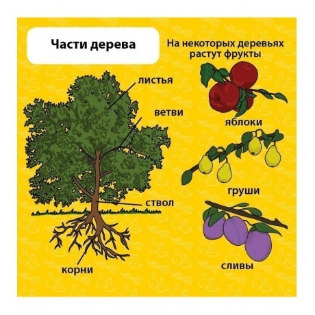 Настольная игра Сундучок знаний Brainbox Мои первые знания - фото 2