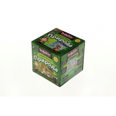 Развивающая игра BRAINBOX 90703 Природа - фото 2