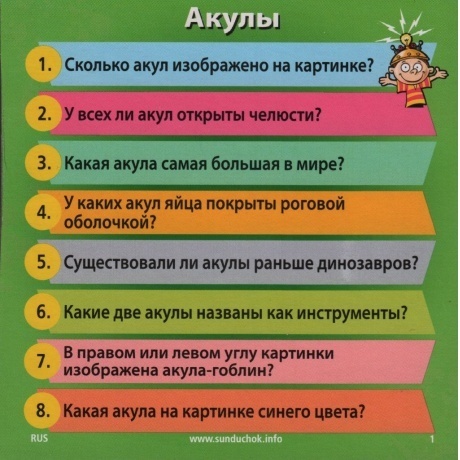 Развивающая игра BRAINBOX 90703 Природа - фото 6