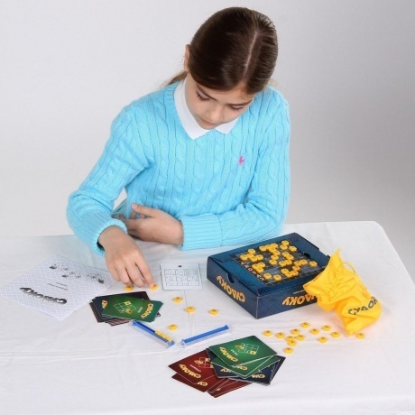 Настольная игра БИПЛАНТ 10004 Судоку - фото 9