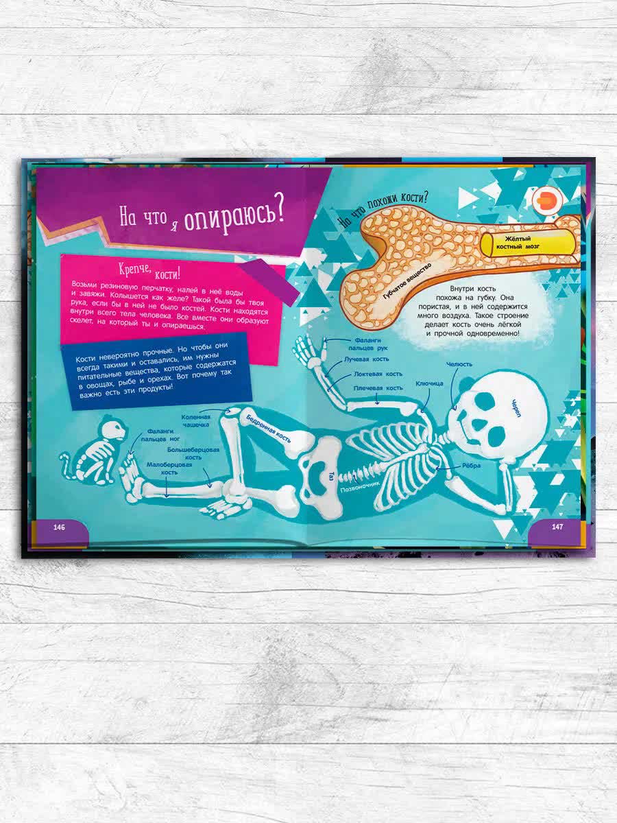 Книга 4D Devar "Моя первая большая энциклопедия " - фото 2