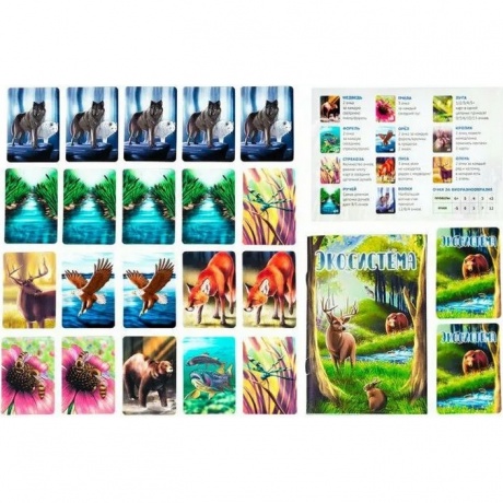 Настольная игра "Экосистема" арт.GG280 - фото 11