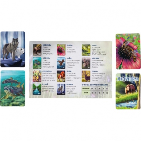 Настольная игра "Экосистема" арт.GG280 - фото 16