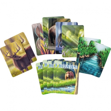 Настольная игра "Экосистема" арт.GG280 - фото 18