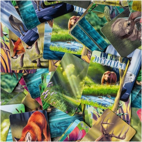 Настольная игра "Экосистема" арт.GG280 - фото 20