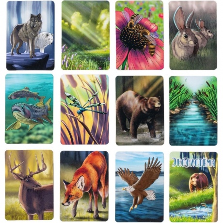 Настольная игра "Экосистема" арт.GG280 - фото 4