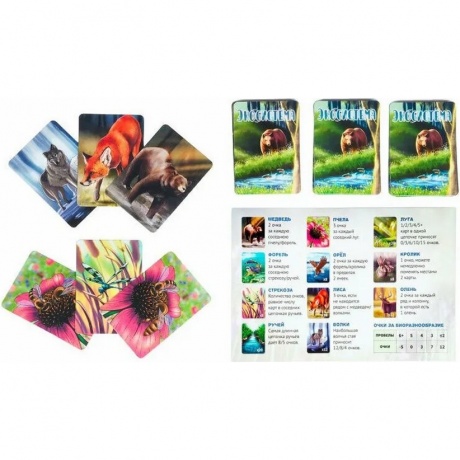 Настольная игра "Экосистема" арт.GG280 - фото 6