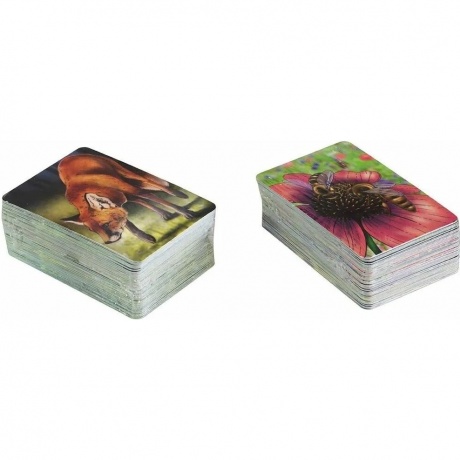 Настольная игра "Экосистема" арт.GG280 - фото 8