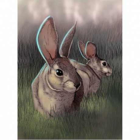 Настольная игра "Экосистема" арт.GG280 - фото 10