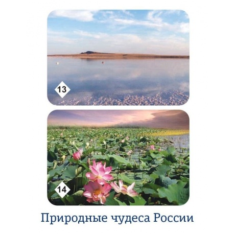 Мемо &quot;Природные чудеса России&quot; арт.7203 (50 карточек) /48 - фото 16