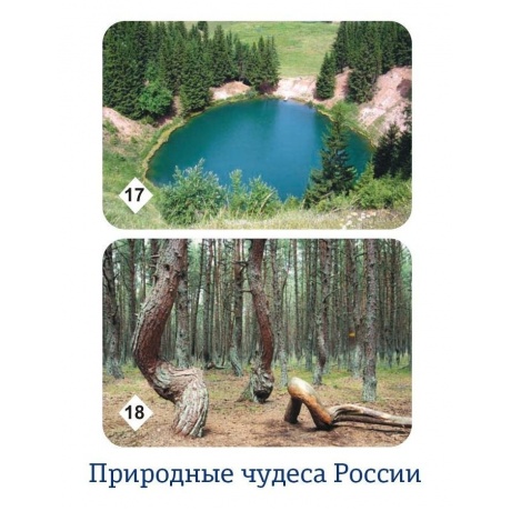 Мемо &quot;Природные чудеса России&quot; арт.7203 (50 карточек) /48 - фото 18