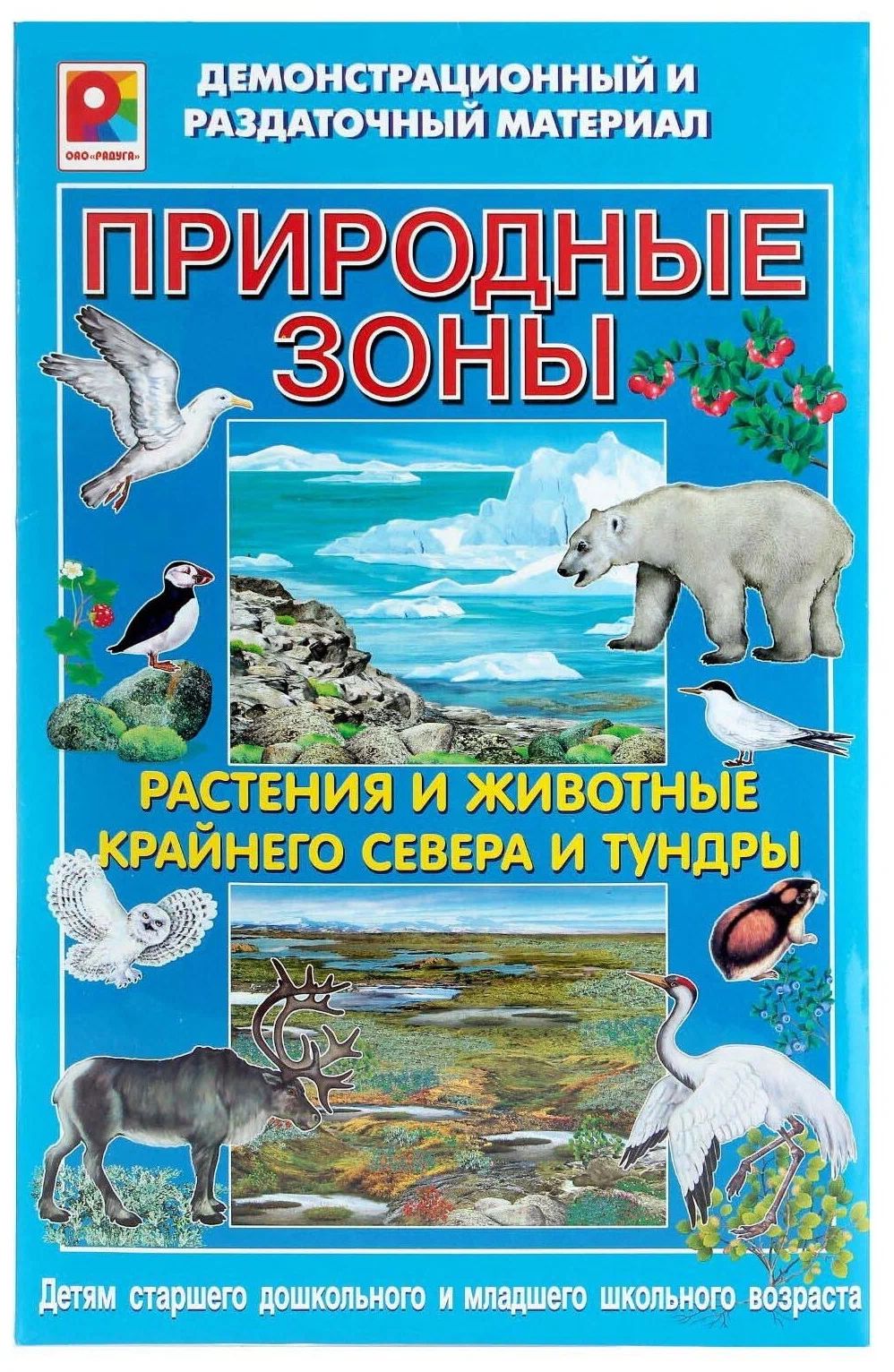 Демонстрационный материал Радуга Растения и животные Арктики и тундры.Природные зоны радуга дикие животные 1 демонстрационный материал