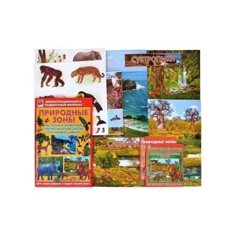 Демонстрационный материал Радуга "Растения и животные субтропиче...