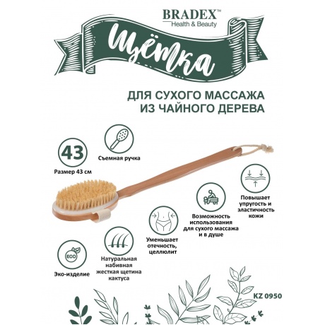 Щётка для сухого массажа Bradex из чайного дерева с щетиной кактуса со съемной ручкой 43 см - фото 3