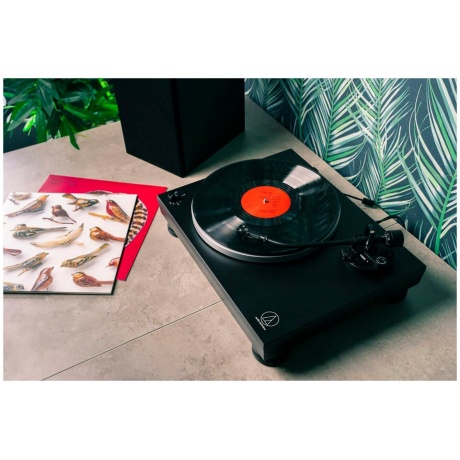 Проигрыватель виниловых дисков Audio-Technica AT-LP5X - фото 15