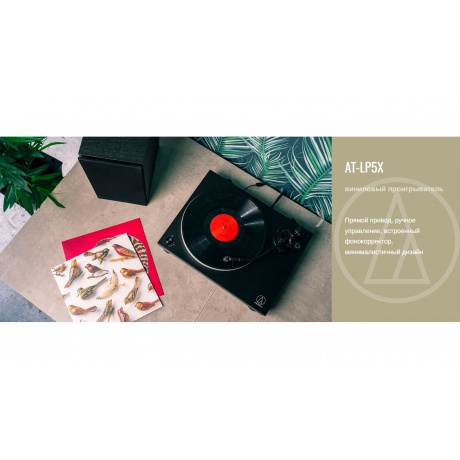 Проигрыватель виниловых дисков Audio-Technica AT-LP5X - фото 20