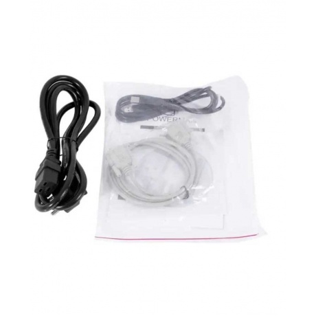 Источник бесперебойного питания Powerman Online 1000 (IEC320) - фото 4